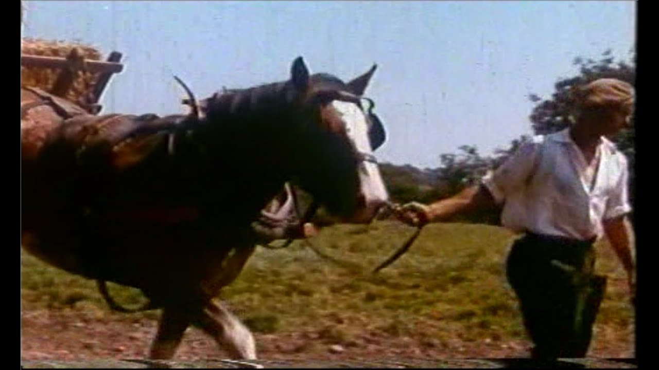 The Royal River - Television Trade Colour Film.