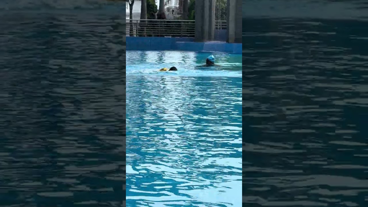 Berenang jarak jauh #lewatberanda #fypシ #fypシ゚viral #berenang #berenangseru #tatsa #dessert #weekend