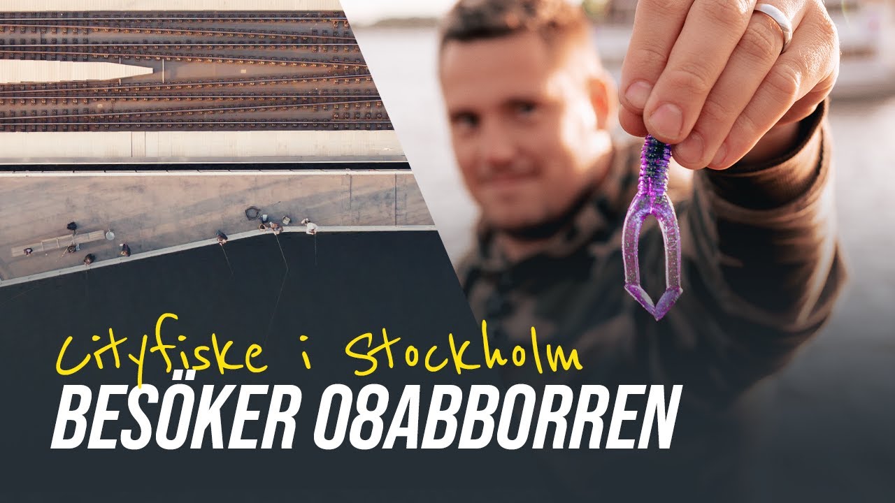 Fiske mitt i Stockholm City - Bes&ouml;ker 08ABBORREN
