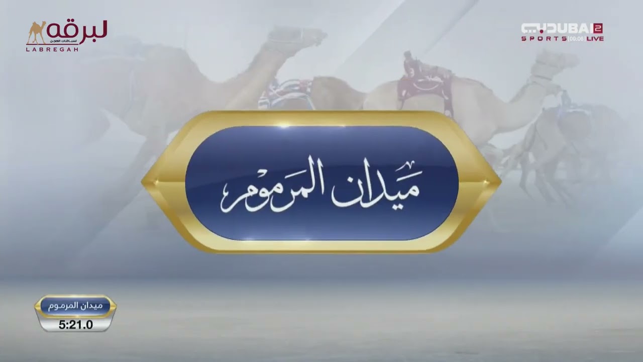 ش10 أرام لـ مبارك سعيد مبارك المخيبي (تأهيل المرموم التاسع 29-12-2024) ثنايا بكار مهجنات 12:43:0