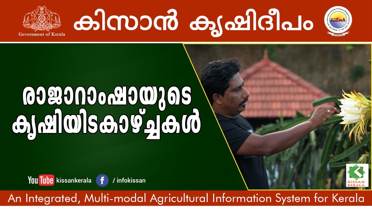 Kissan Krishideepam Episode - 1012 Successful integrated farming model of Rajaramsha