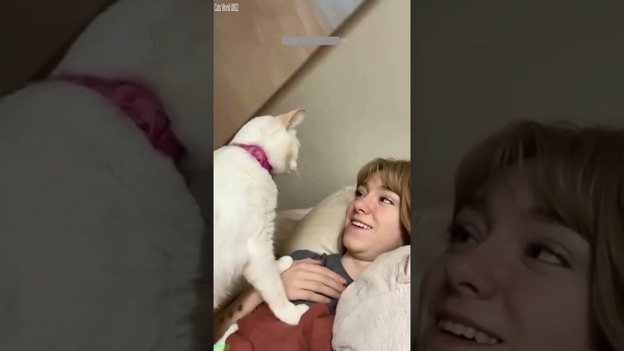 Funny Cats 2024 🐱 Funny Cat Videos 🐱 # #9638