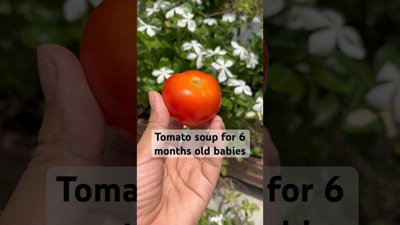 Tomato soup for 6 months old babies #tomatosoup #recipe #shorts #babyfood