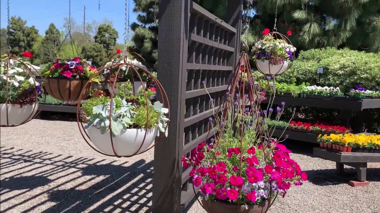Amazing Spring Flowers Garden