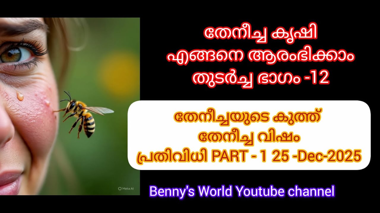 തേനീച്ച വളർത്തൽ Part  12 തേനീച്ചയുടെ കുത്ത് , വിഷം, ഗുണം, ദോഷം,  പ്രധിവിധി, Part 1