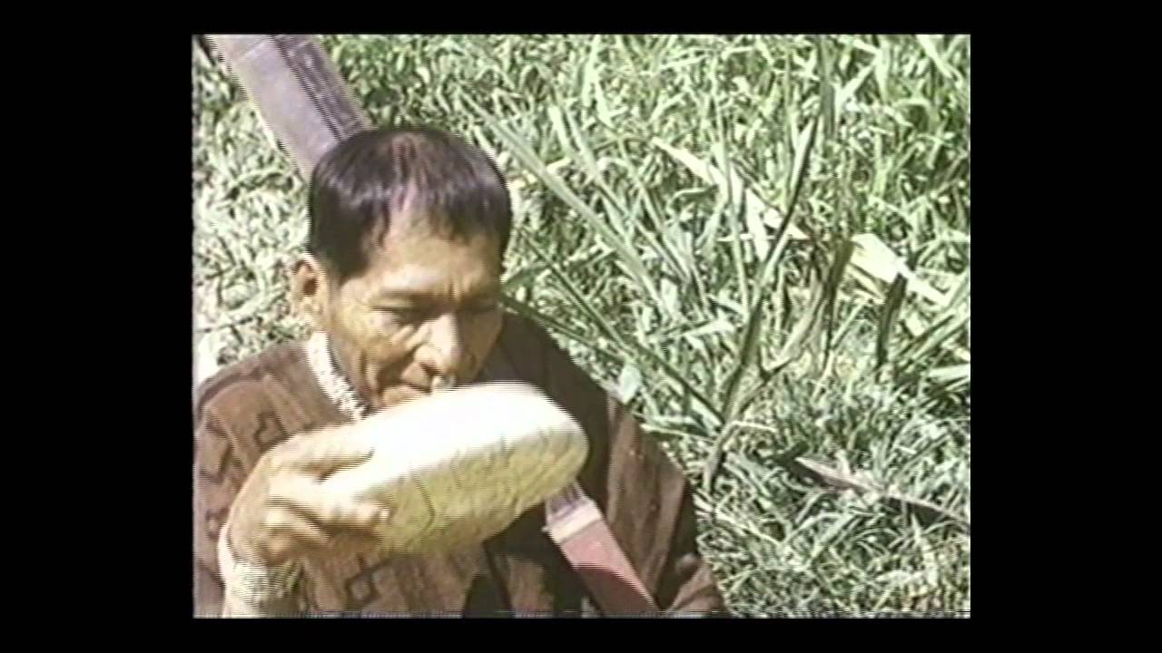 SHIPIBO, LA PELICULA DE NUESTRA MEMORIA