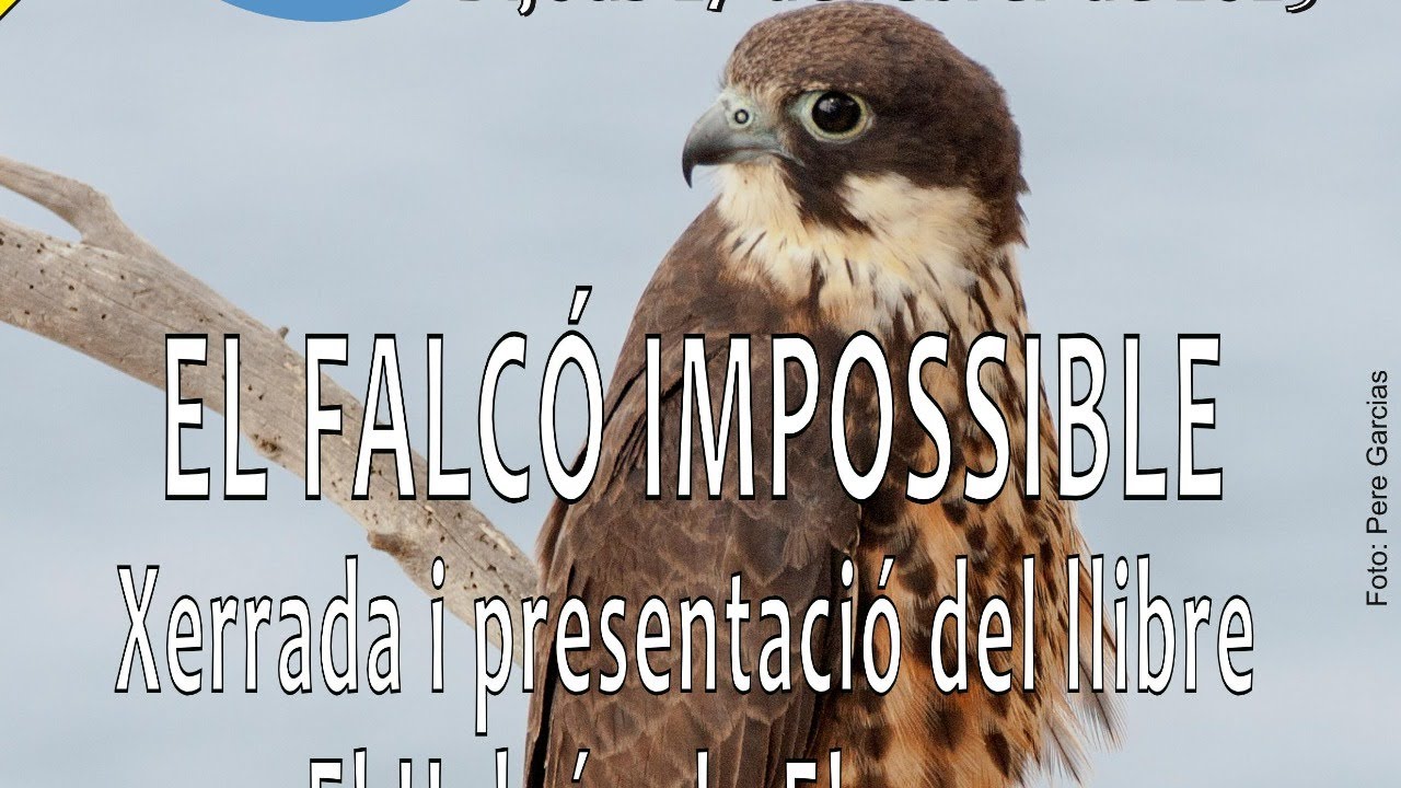 El Falcó Impossible. Xerrada i presentació del llibre El Halcón de Eleonora.