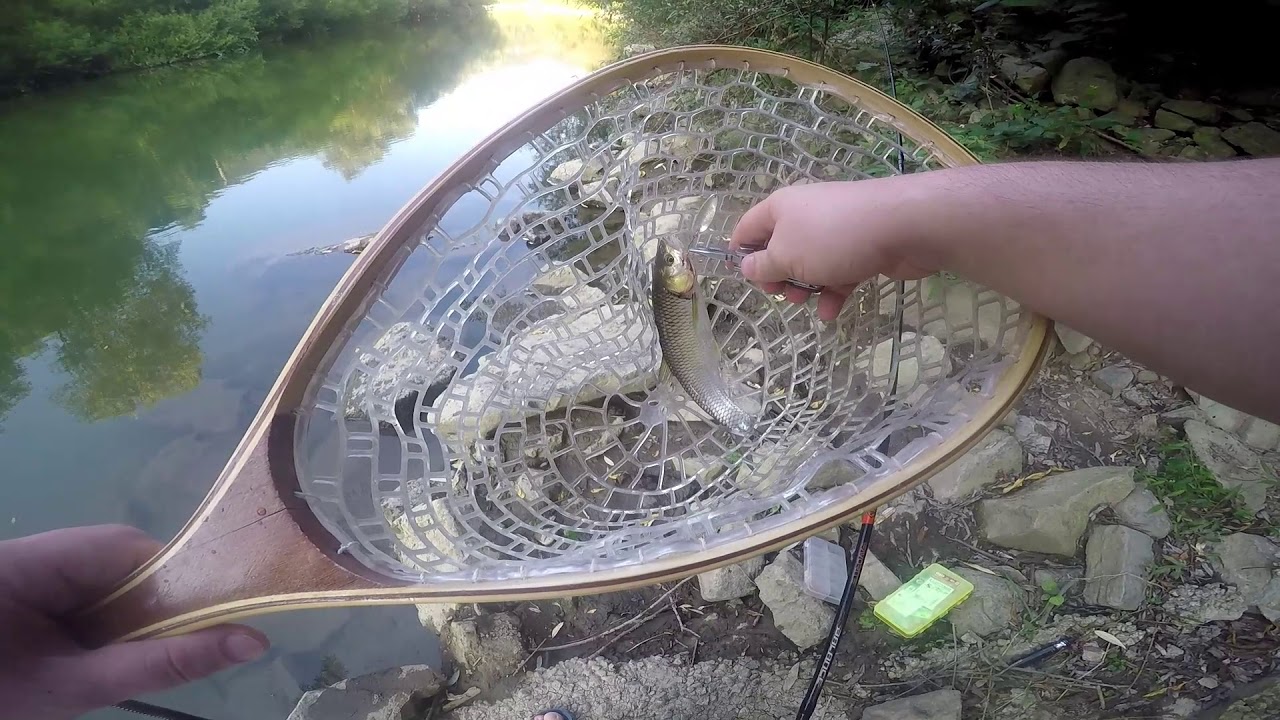 spiningit tevzaoba ძირულა ქაშაპი სპინინგით