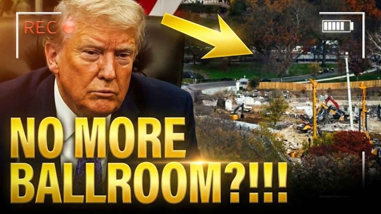 Трамп заявил судье, что его бальный зал — это вопрос национальной безопасности.