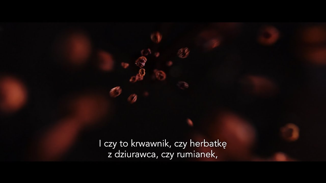 5. O podkarpackich ziołach, babci i szybkim życiu Sylwia Draus-Ciepluch - Podkarpackie to Ty (fragm)