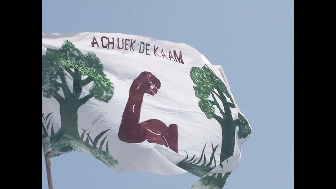 DACHUEK AUSTRALIA, 2017