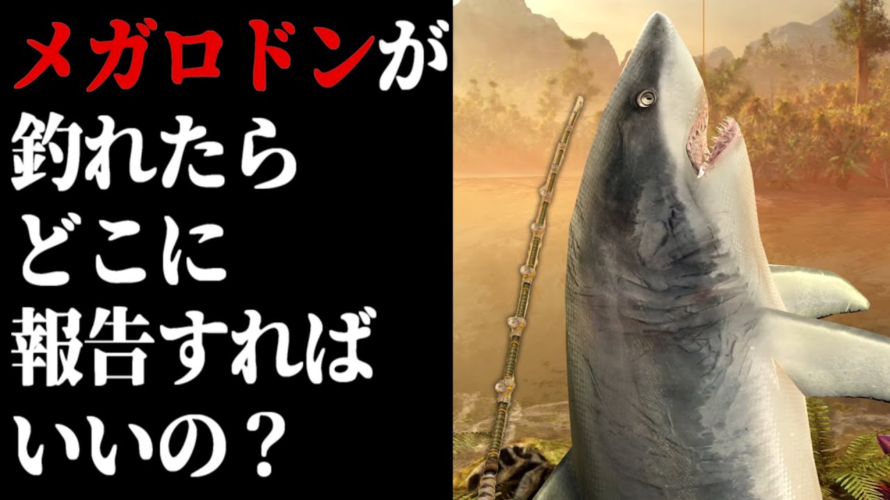 【Fishing Clash】メガロドン釣れたらどこに報告すりゃいいんだよ【釣りゲーム・スマホゲーム】