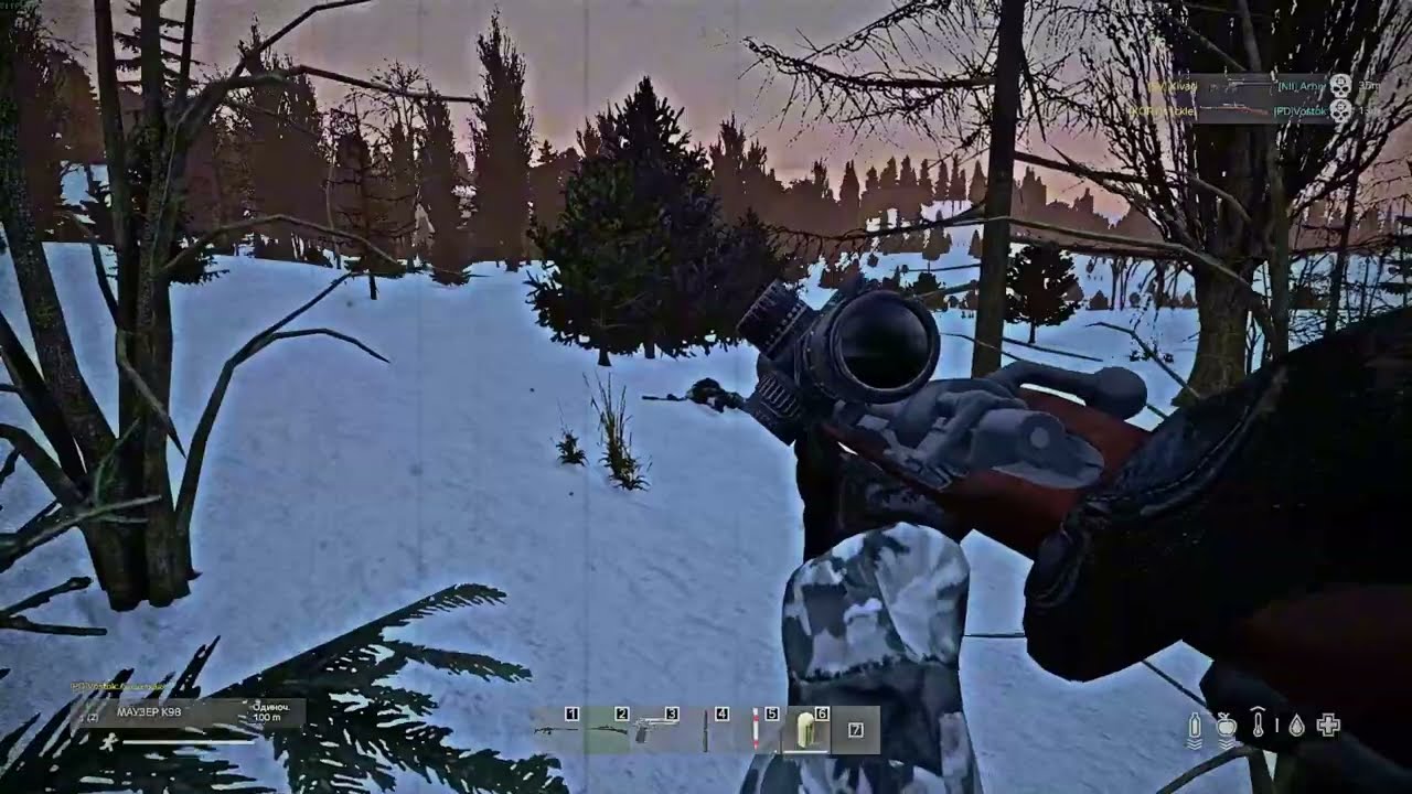 типа мувик дм сталкер #dayz #dayzgamers #moments #dayzmod #pvp #gaming -3 юху