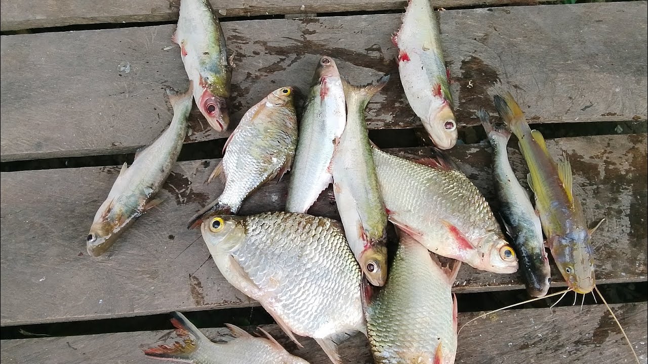 Jenguk di ayir surut Alhamdulillah dapat nya