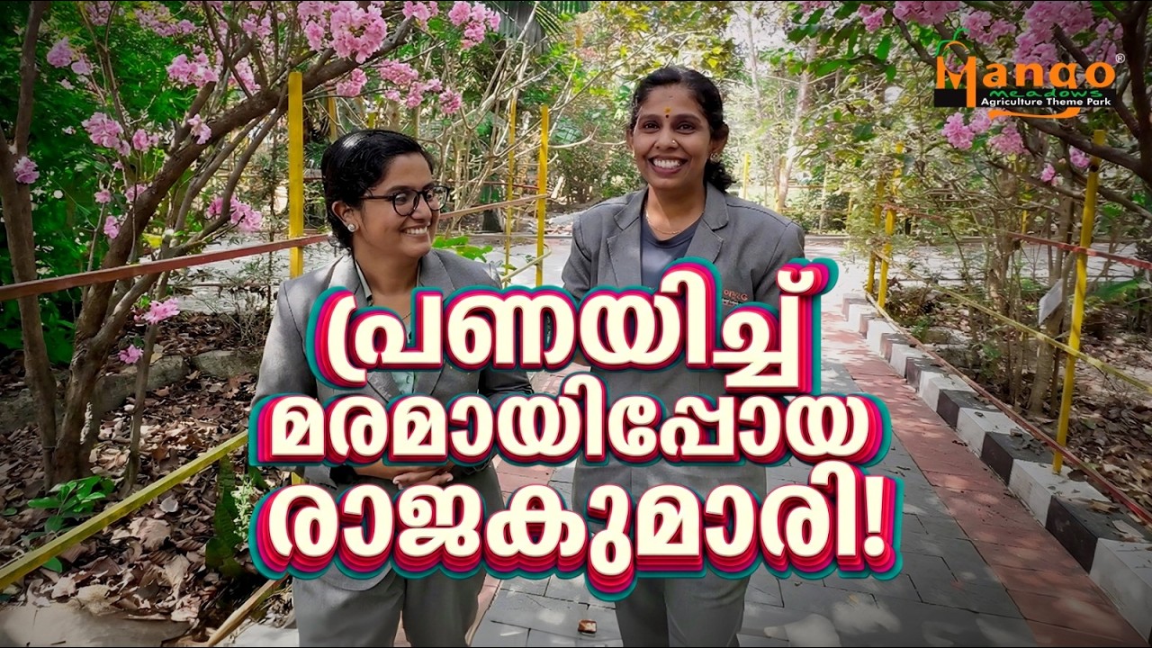 ​ഈ പൂക്കൾക്ക് പിന്നിലൊരു കണ്ണീർക്കഥയുണ്ട്! #video ​#tabebuiarosea #mangomeadows  #maquilishuat