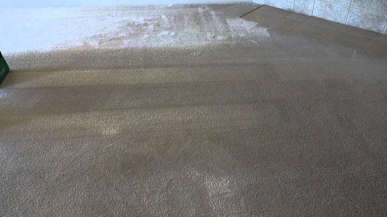 Bissell Big Green VS Rug Doctor Carpet Cleaning