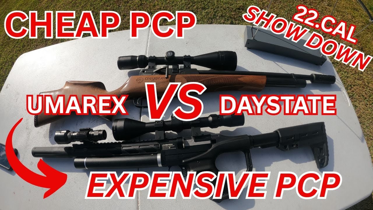 CHEAP VS EXPENSIVE 22.CAL PCP SHOW DOWN