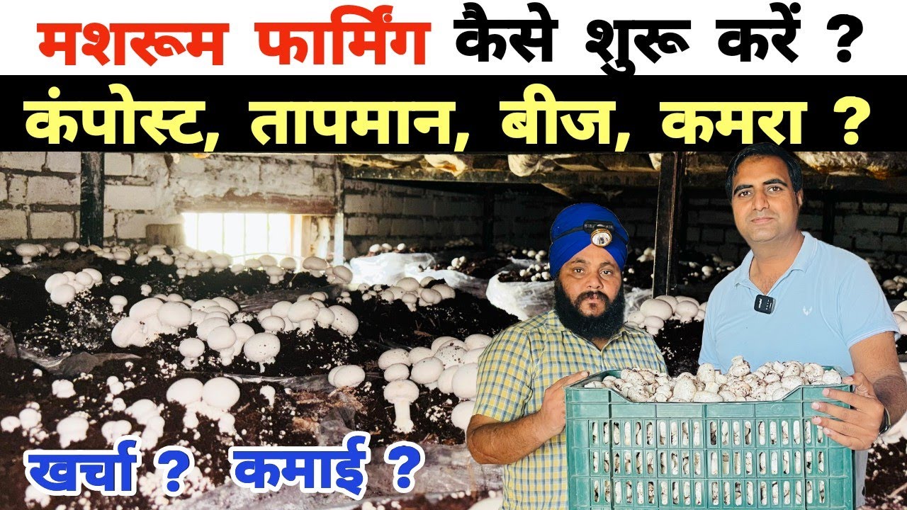30×30 फीट में मशरूम फार्मिंग vs 40000 रुपए महीना नौकरी ? Mushroom Farming A to Z | #mushroomfarming