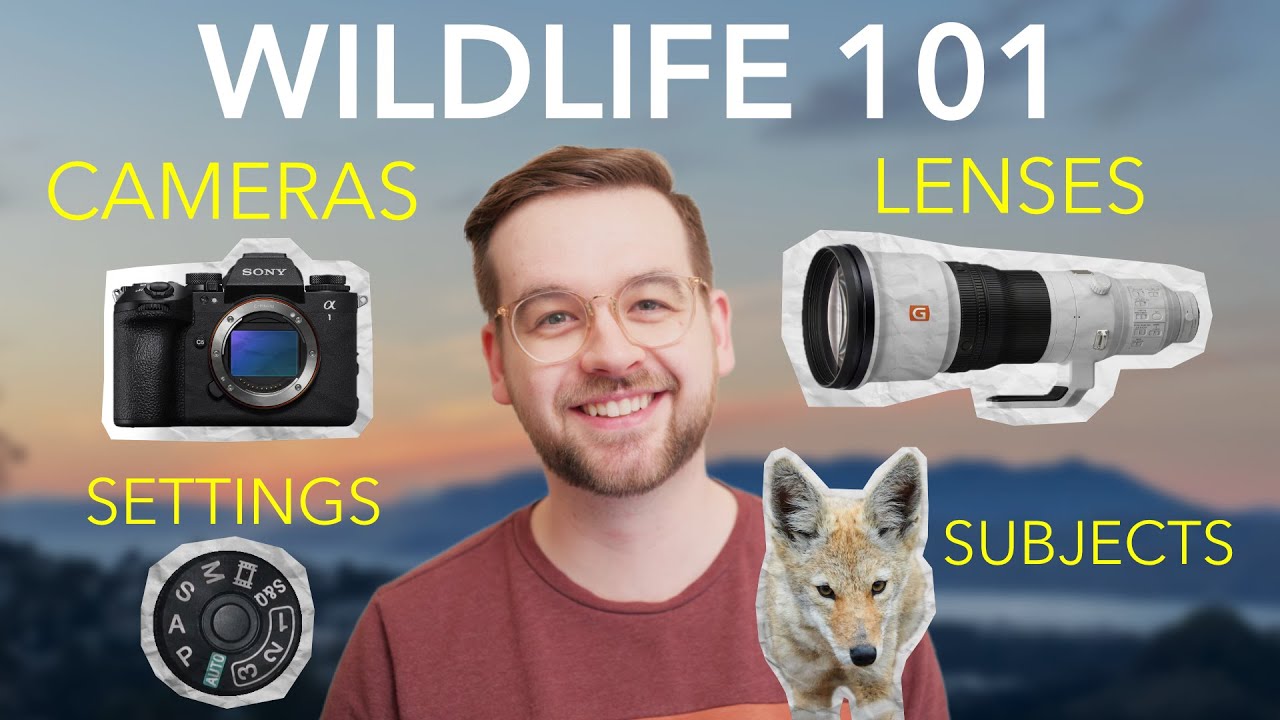 Wildlife Photography 101 - A Beginner's Guide to Gear, Settings, and Techniques