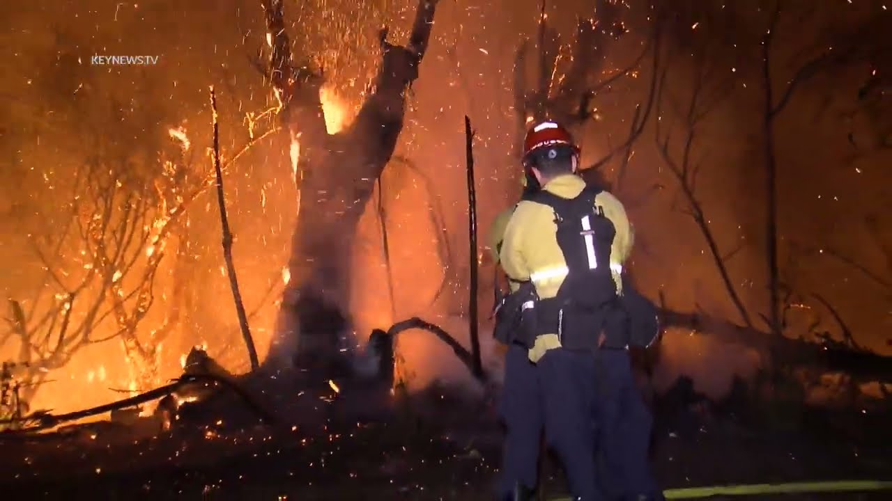 Ventura, CA: Eucalyptus Tree Brush Fire Burns Close to Mobile Home Park