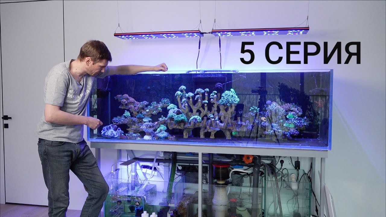 5 СЕРИЯ Водоросли и борцы с ними