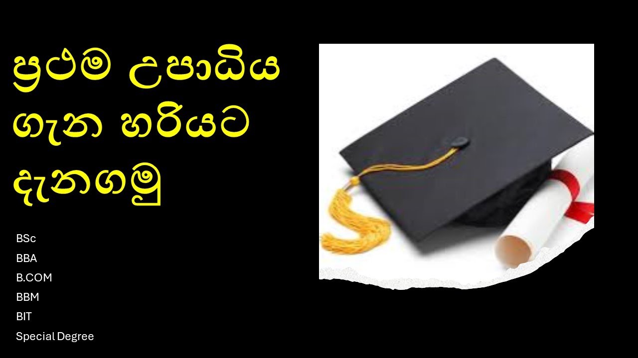 Top Bachelor's Degrees for Commerce Students in Sri Lanka | Career Paths & Opportunities