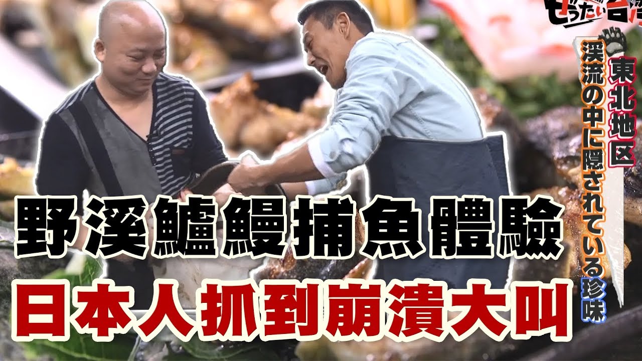 【精華版】日本人野溪捕魚崩潰，台灣海鮮總鋪師活捉大鱸鰻...