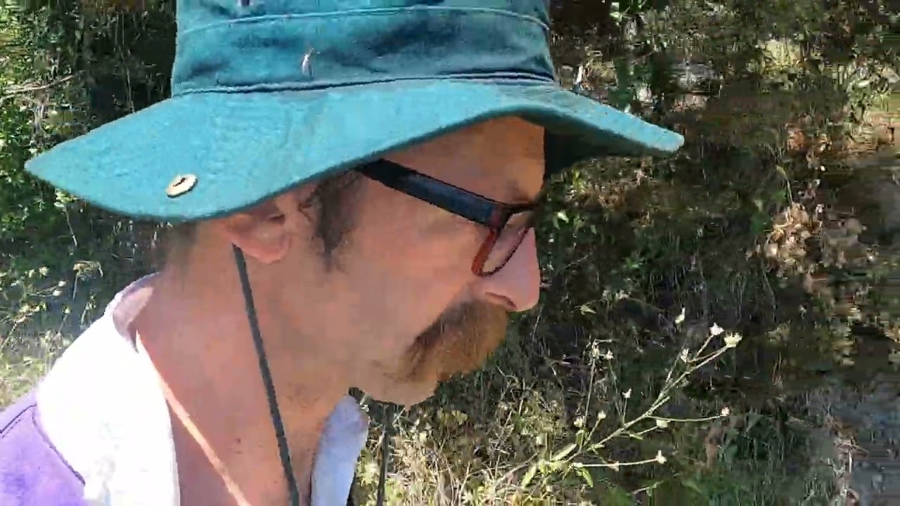 Zlatan Otok Vineyards
