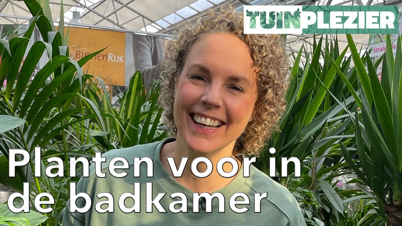 Jennefers Top 5 kamerplanten voor in de badkamer! | TUINPLEZIER