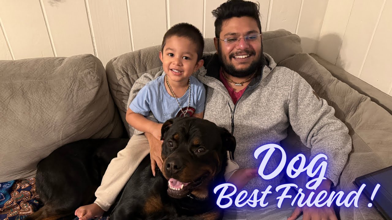 When a Rottweiler Becomes Your Toddler’s Best Friend ❤️ (So Emotional)