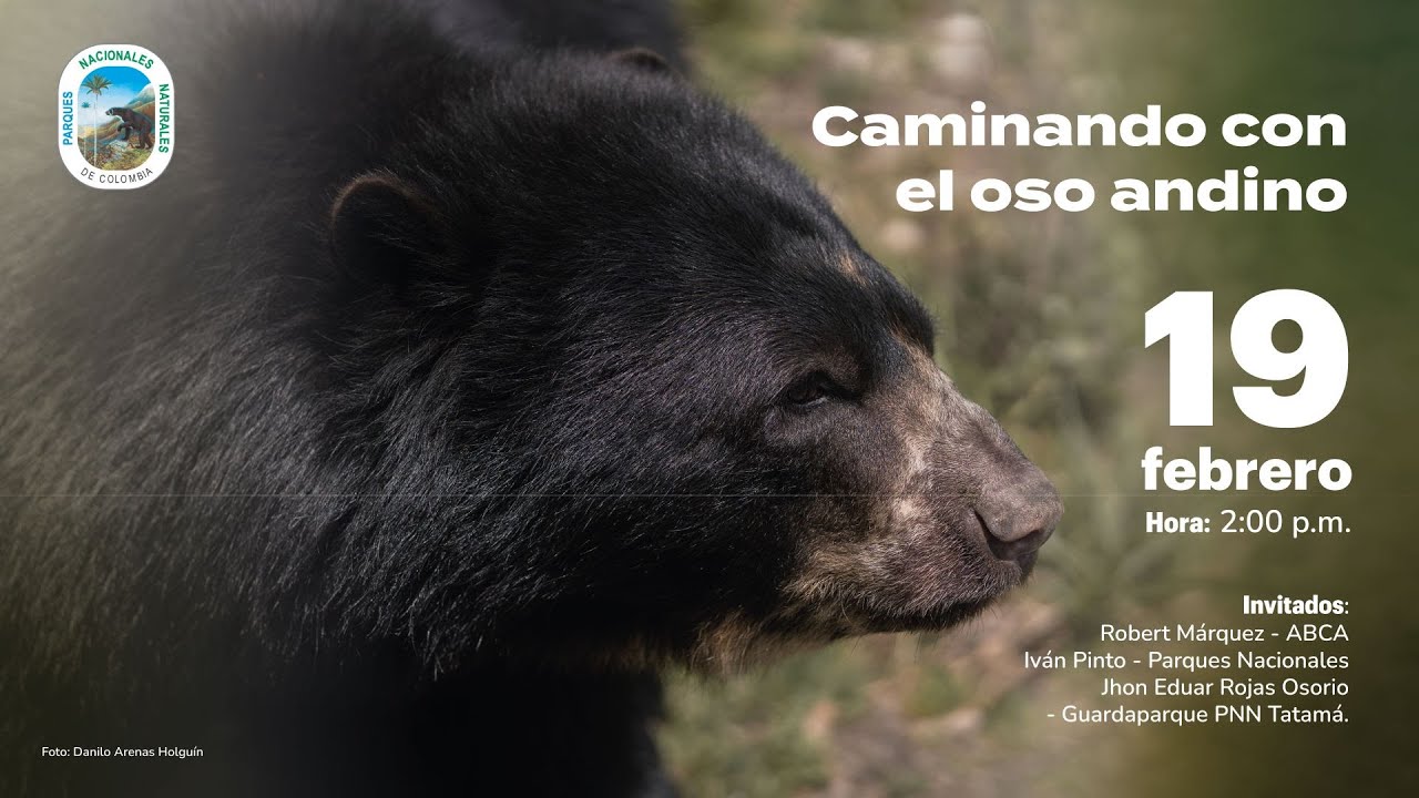 Día Internacional para la Protección de los Osos del Mundo Caminando con el Oso