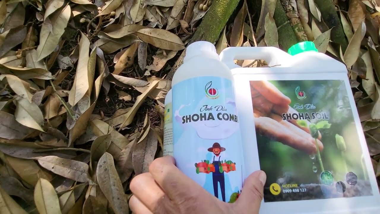 SHOHA SOIL THAY THẾ SEA & CÁCH SỬ DỤNG: 0944 456 457- 0859 456 457- 0326 456 457- 0945 456 457