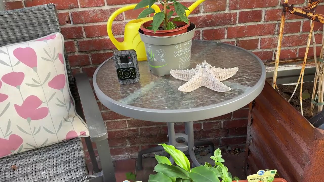 MAXDONE Wildkamera mit Handy&uuml;bertragung APP - Wildtierkamera 4K 64MP HD Unboxing und Anleitung