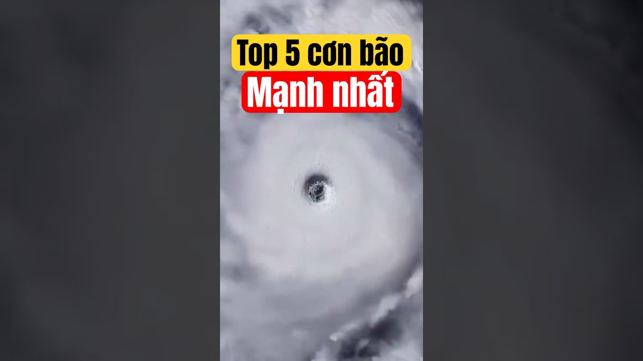 Top 5 cơn bão MẠNH NHẤT thế giới | Bạn biết Chưa?? 