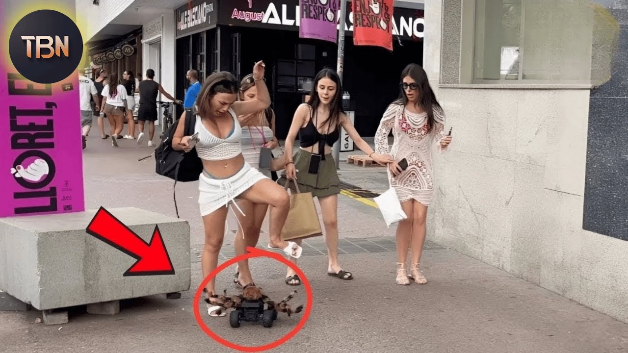 Moments Of Instant Karma Caught On Camera #264 | Instant Regret Fails Compilation | TRY NOT TO LAUGH