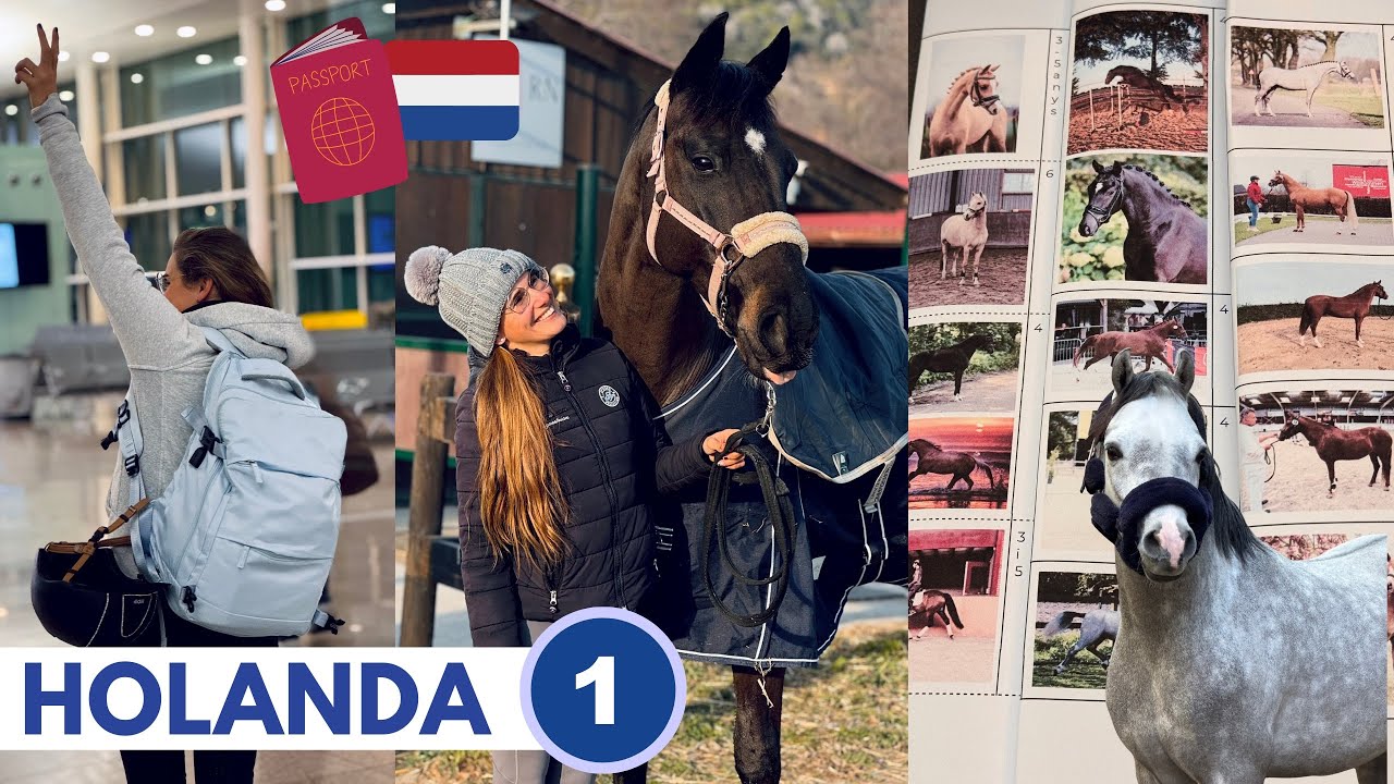 Últimos días de rehabilitación de Liberty 🐴✈️ Nos vamos a Holanda a por nuevos ponis