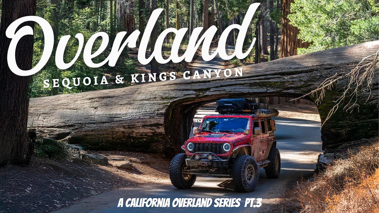 Exploring the Giant Sequoias on this part 3 of our California overland trip