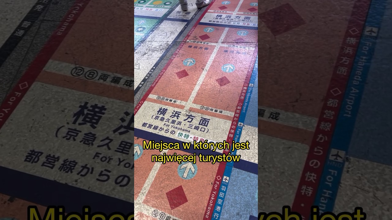 Nie musisz znać japońskiego! | Przewodnik po Japonii | Enma Official