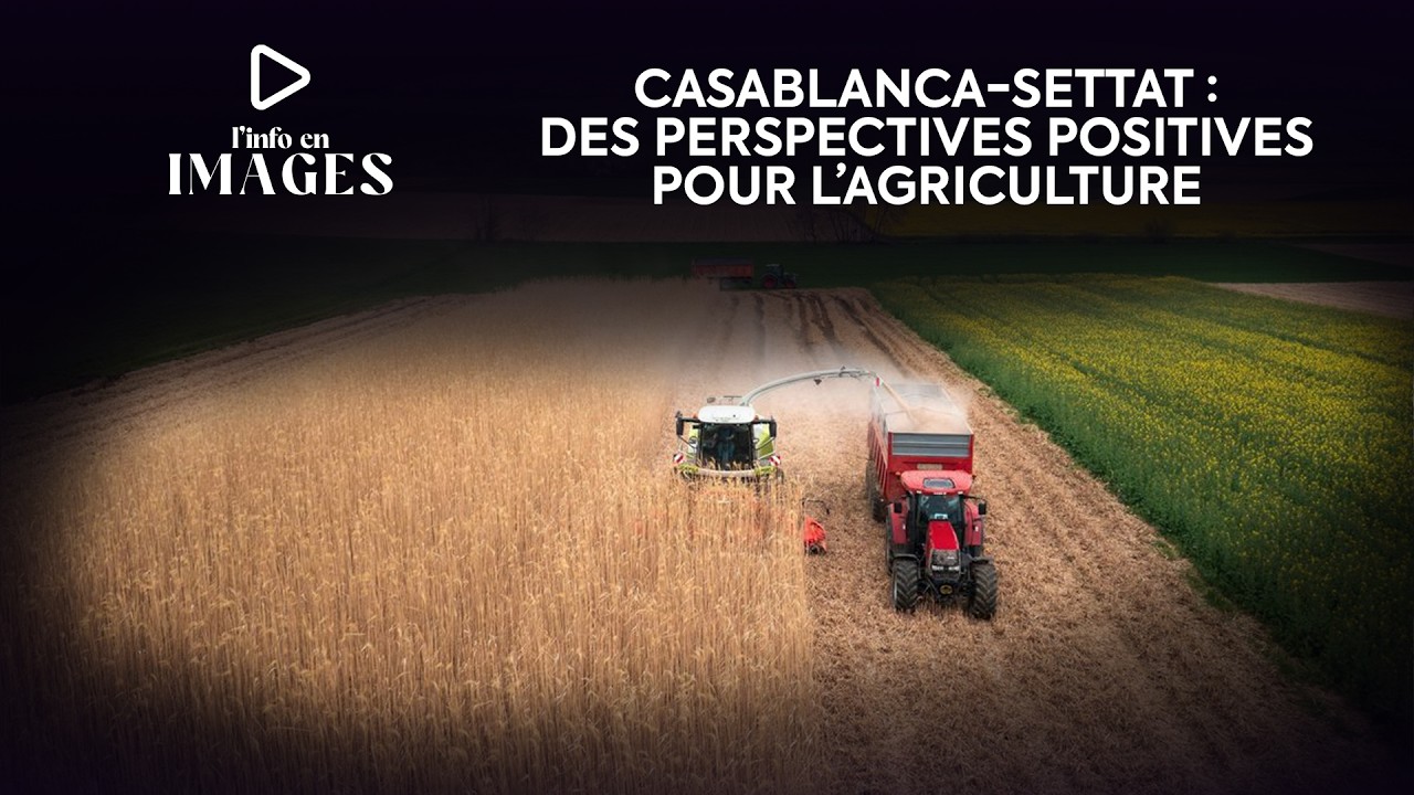 Casablanca-Settat: Perspectives prometteuses pour la campagne agricole 2025-2026