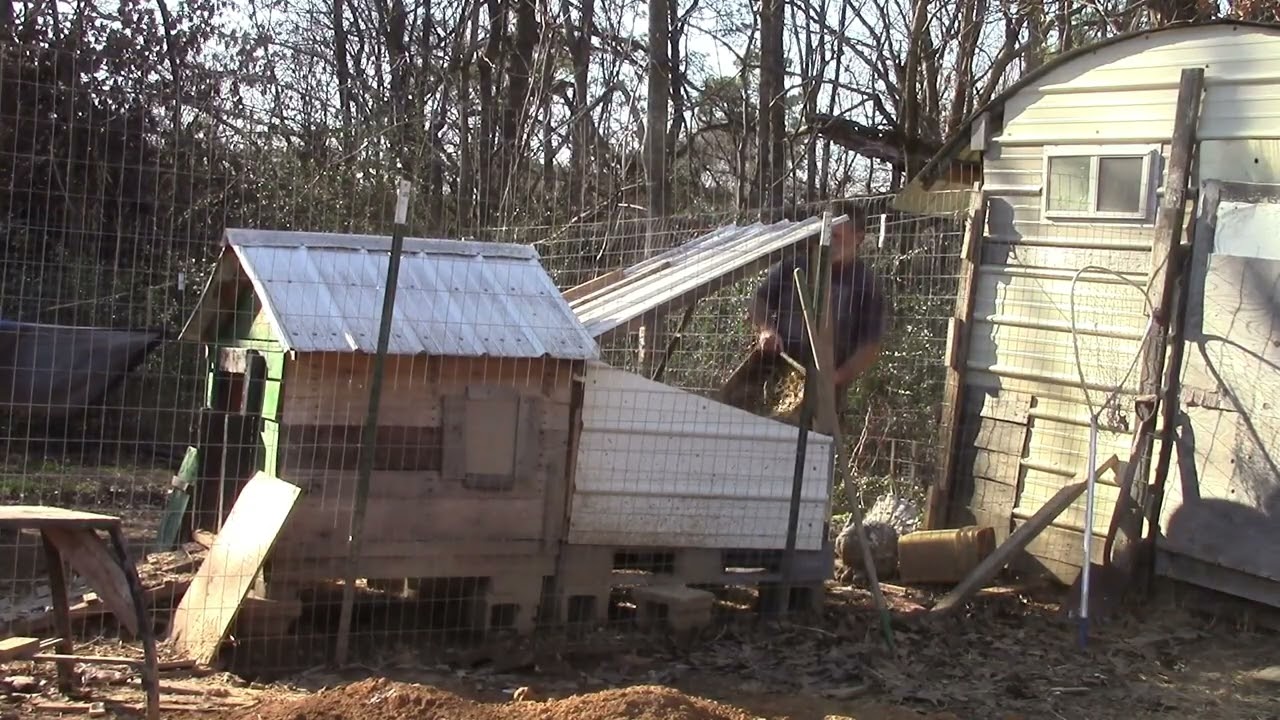 Cleaning out the Duck House