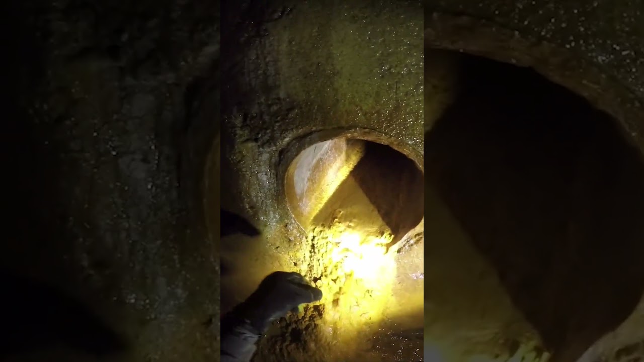 Found THIS in a SEWER?!🤢😱