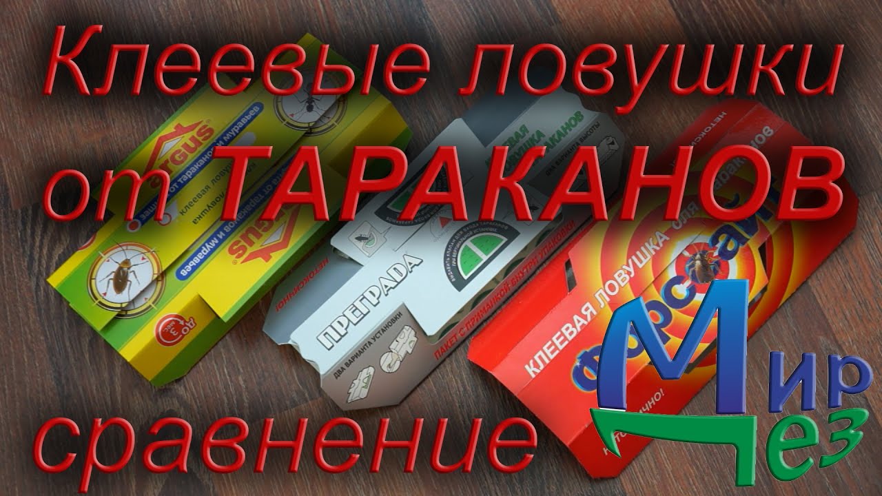Клеевые ловушки от тараканов. Сравнение Аргус, Преграда, Форссайт