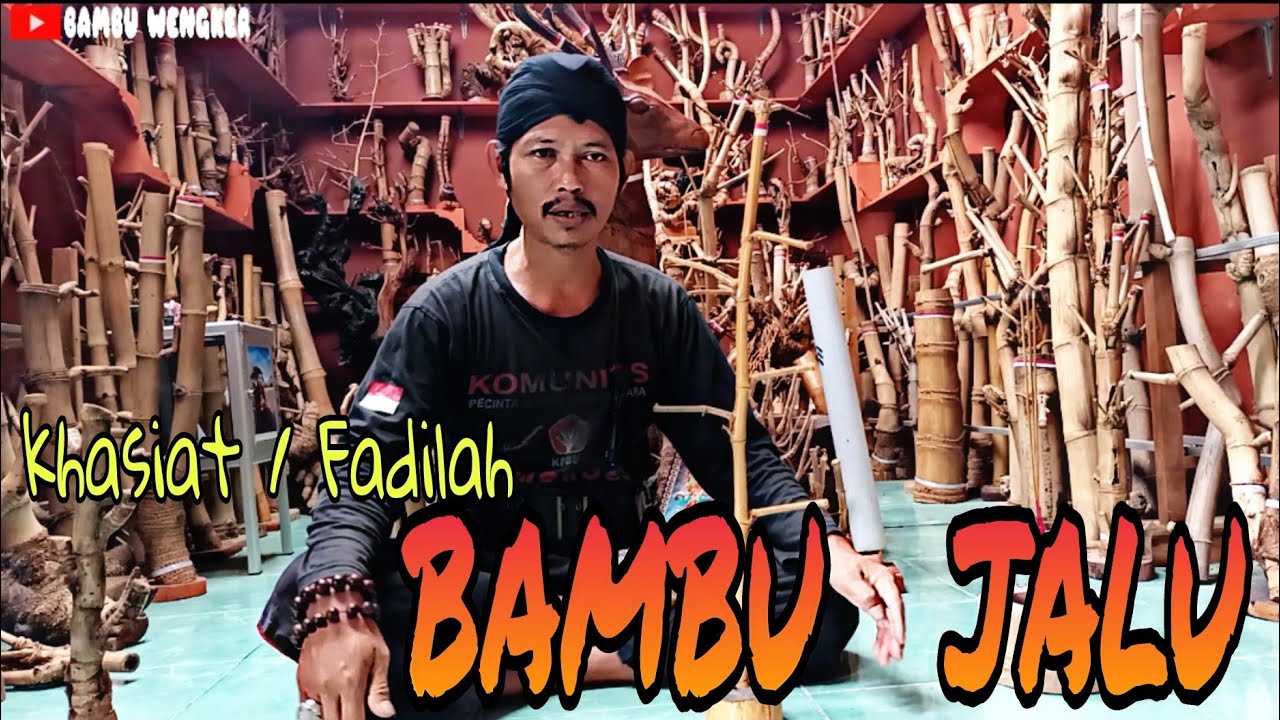 Manfaat Dan Kegunaan Bambu Jalu Beserta Amalan Doa Yang Di Baca