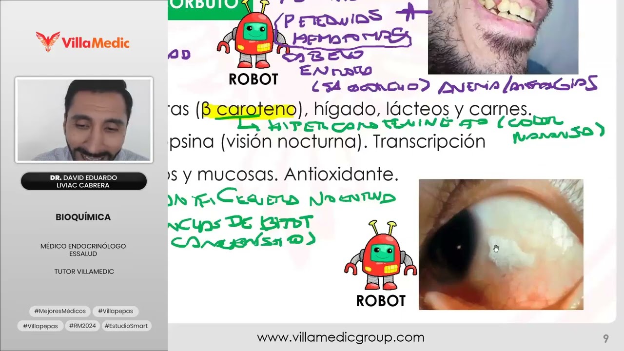 Pre Internado 2025 Fase 1  Bioquímica   Vitaminas y minerales parte 3