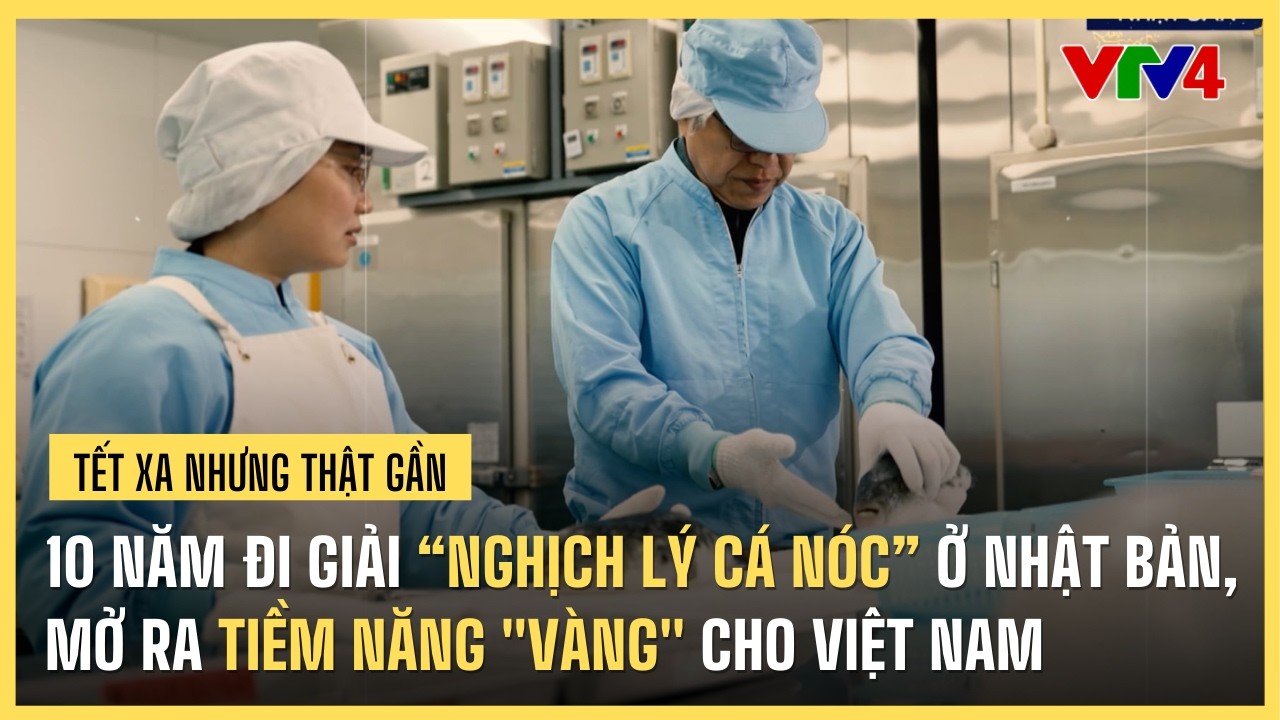 Cô gái Việt 10 năm đi giải “nghịch lý cá nóc” tại Nhật Bản, mở ra tiềm năng 