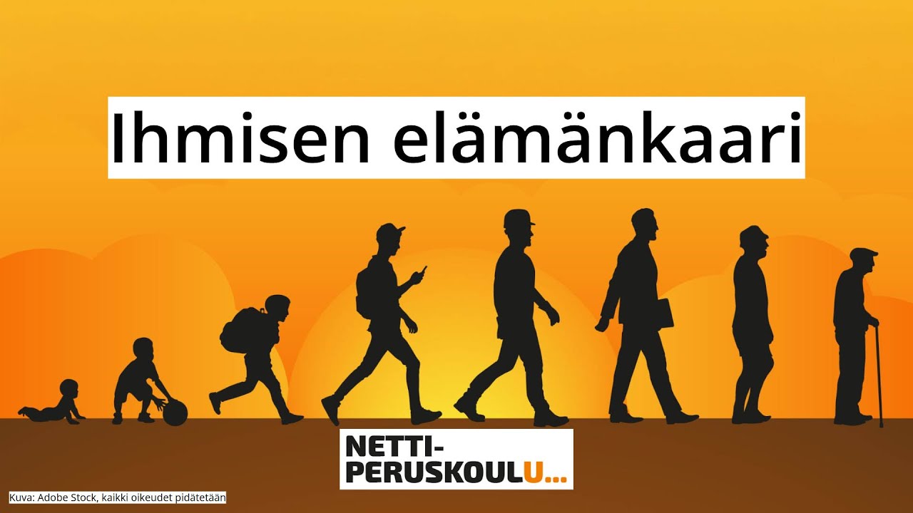 te1: Ihmisen elämänkaari (perusopetus)