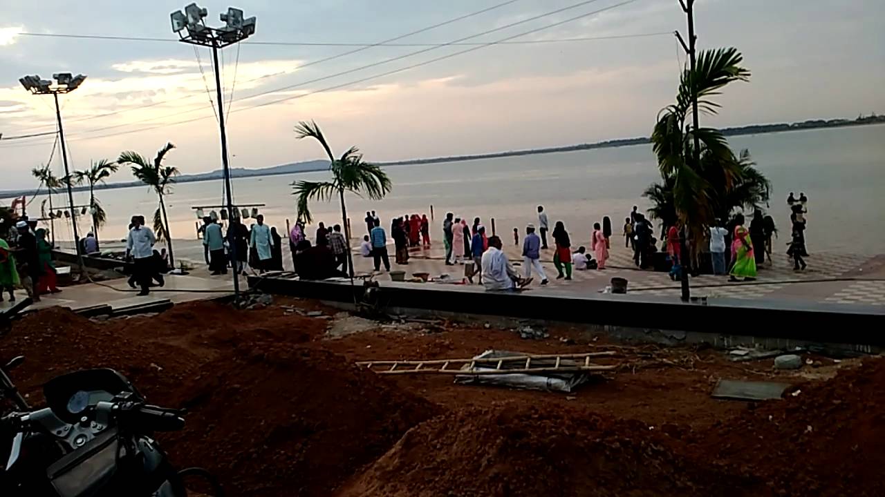 Rottela pandaga