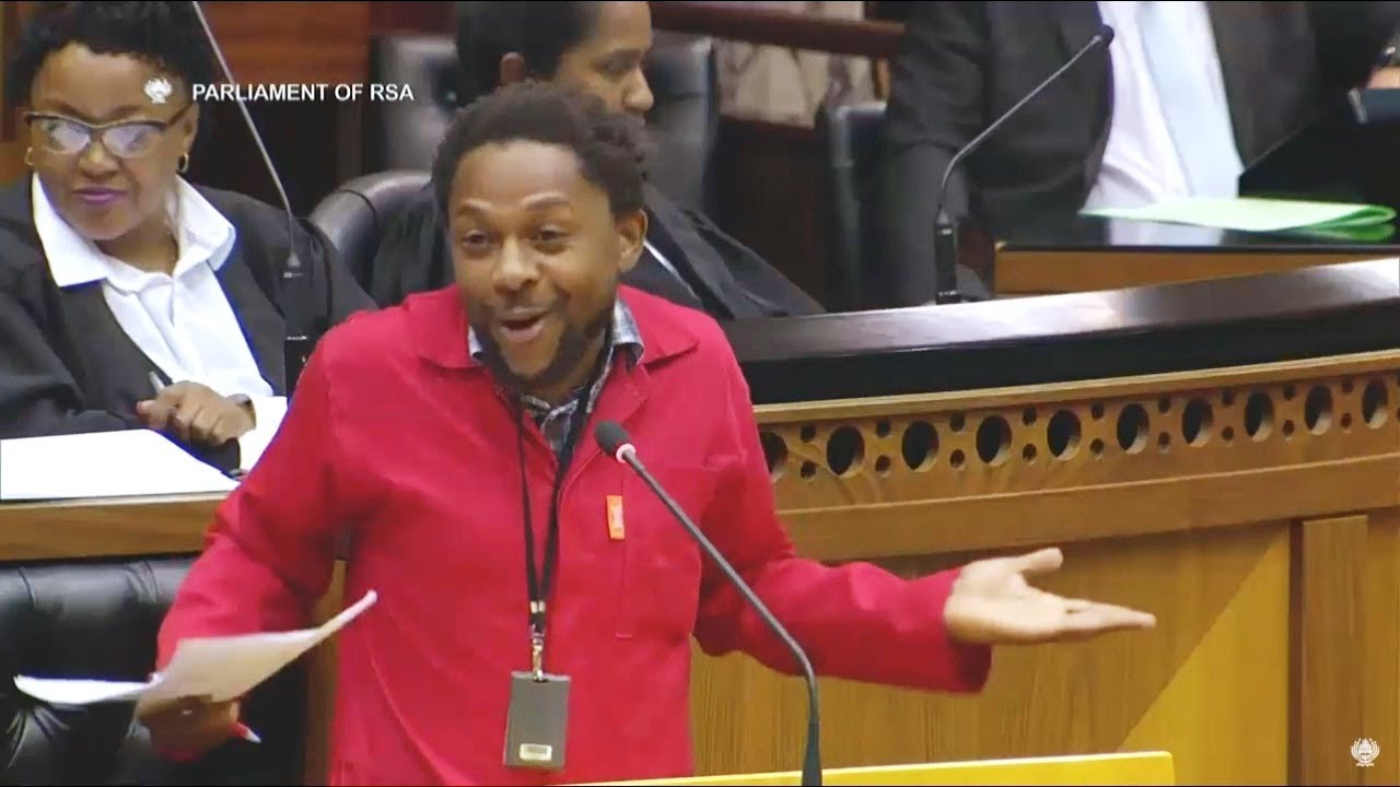 Dr Ndlozi Stirs Up Parliament On Zondo Commission