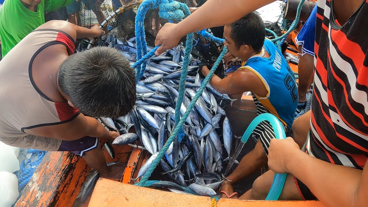 Nasa pangatlong Bodega na sa Dami di na magkasya