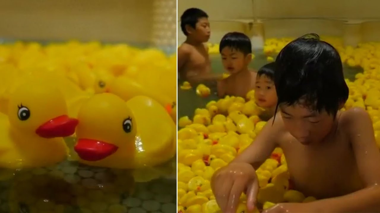 Watch | Warm bath in a pool full of rubber ducks